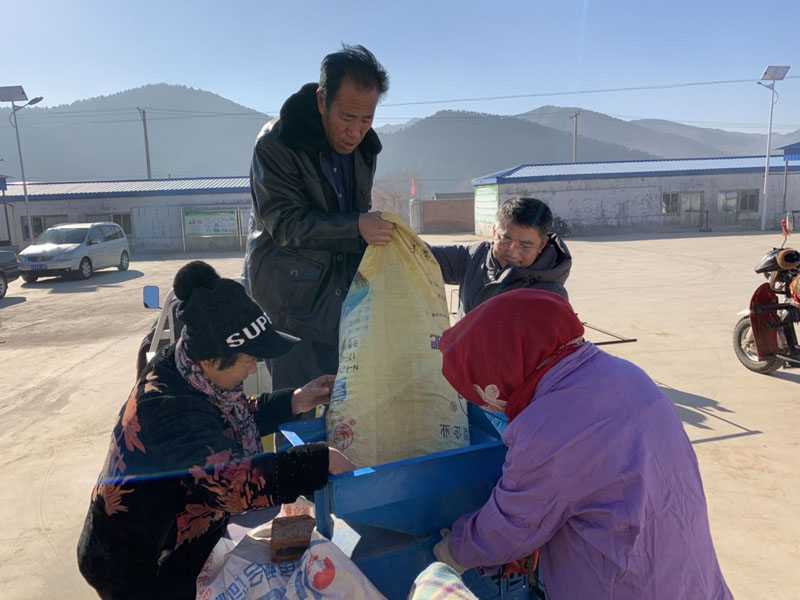 收購現(xiàn)場，王強(qiáng)（右二）幫助村民抬小米