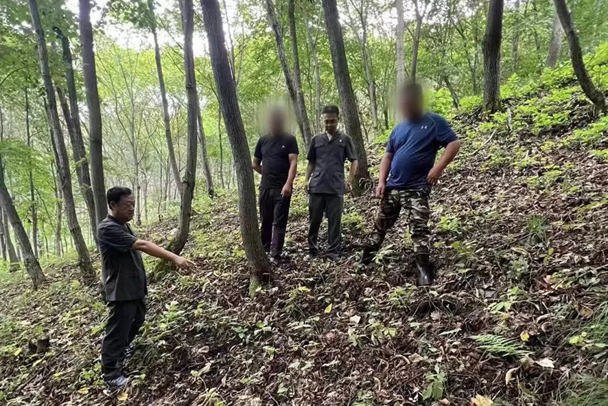 （本溪中院）桓仁縣法院華來法庭法官深入涉案林下參園進行現(xiàn)場勘查