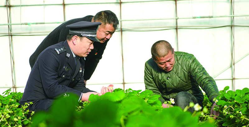 季元生（左一）在村子大棚里了解村民矛盾糾紛